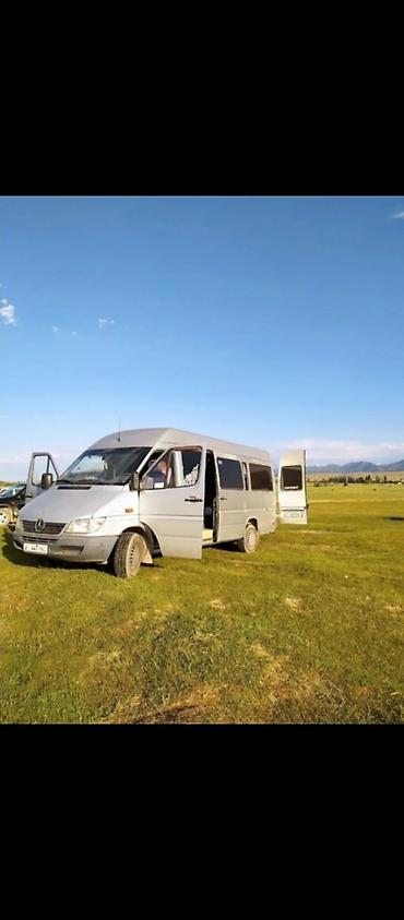 w210 e320: Пассажирский микроавтобус Mercedes-Benz (серебристый) для перевозок и — 3