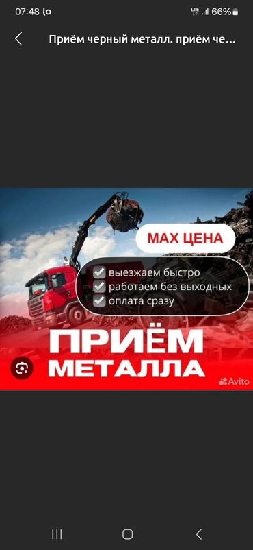 семечки черные: Скупка чёрного металла скупка чёрного металла скупка чёрного металла