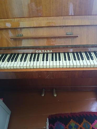 gitar pedal: Oktaba upright piano - Model: Oktaba, akustik dik (upright) piano - — 4