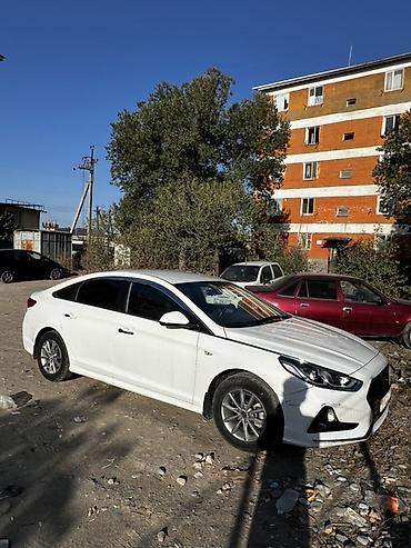 12 9: Hyundai Sonata: 2020 г., 2 л, Автомат, Бензин, Седан — 1