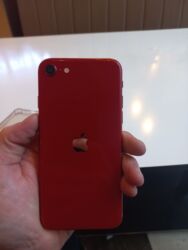 ноутбуки ош цена: IPhone SE 2020, Колдонулган, 128 ГБ, Кызыл, Коргоочу айнек, 100 %