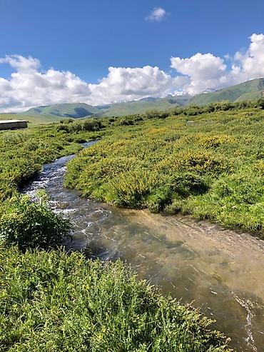 Туристические услуги: Кумысолечение в Суусамырской долине. Чистый воздух, натуральная еда — 9
