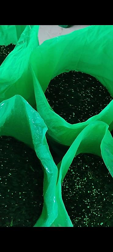 Torf: Məhsul: Münbit torf və gübrə Təsvir: - Bitkilər üçün ideal torpaq — 10