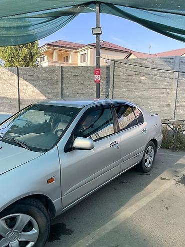 nisa: Nissan Primera: 2000 г., 1.6 л, Механика, Бензин, Седан — 5