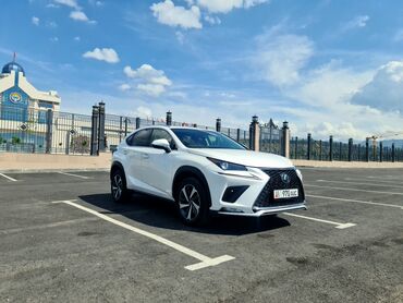 lexus is 250: Lexus NX: 2020 г., 2 л, Автомат, Бензин, Кроссовер