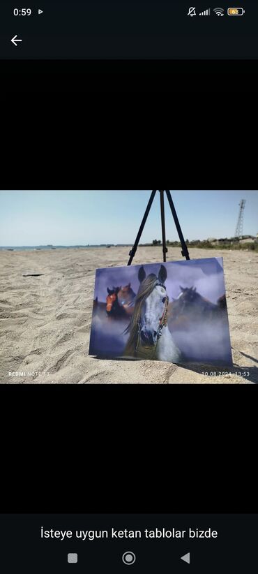 Şəkillər, tablolar: Kətan üzərində dekorativ tablolar - İstəyə uyğun fərdi dizaynlar — 1