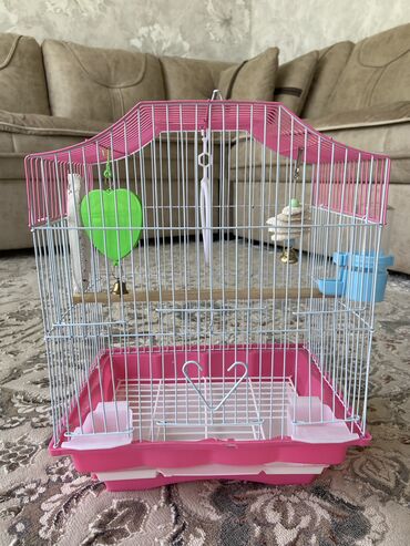 бооз кой сатылат: Продаю клетку для попугая🦜 В отличном состоянии 💯 Размер 30см*20см
