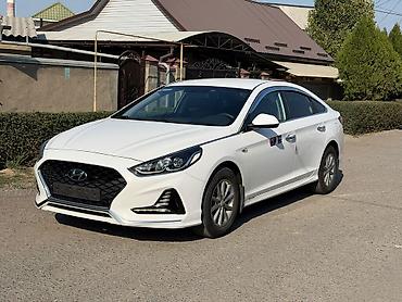 соната пленка: Hyundai Sonata: 2019 г., 2 л, Автомат, Газ, Седан — 2