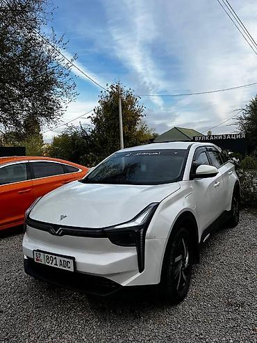 x elite: Weltmeister EX5, 2022 г., Передний — 2
