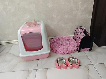 heyvan sekilleri yukle: Pişik aksesuarları dəsti – çəhrayı rəngdə Dəst tərkibi: - Qapalı — 1