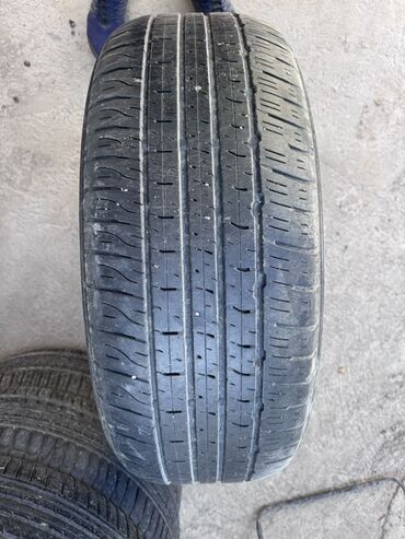 r21 шины: Шиналар 265 / 50 / R 22, Жай, Жол тандабастар (АТ/МТ), Dunlop