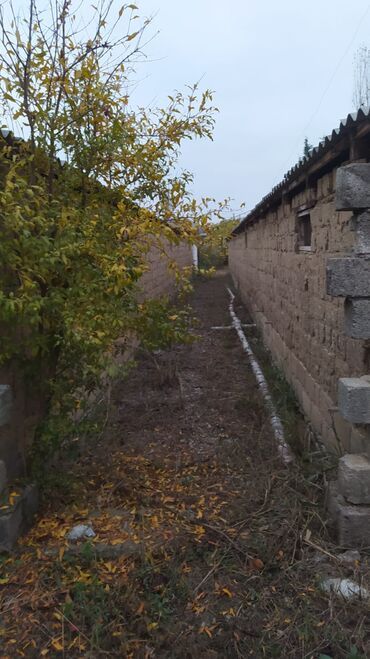 Torpaq sahələrinin satışı: 10 sot, Biznes üçün, Mülkiyyətçi, Kupça (Çıxarış) — 5