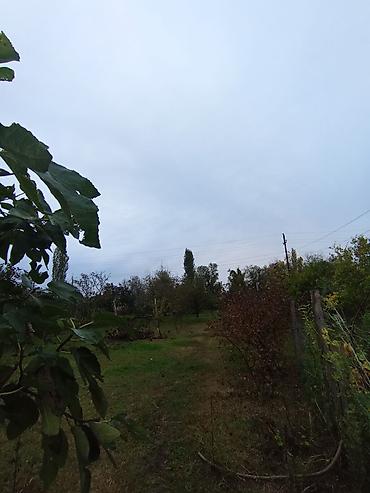 Lent lampalar: Ev yenidir. Ev 1 zal, 3 otaq,1 mətbəx və dəhlizdən ibarətdir. Hamam və — 24