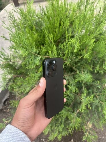 айфон на расрочку: IPhone 14 Pro, Кара