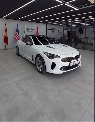 бампер жабра на фит: Kia Stinger: 2017 г., 3.3 л, Бензин, Лифтбек — 1