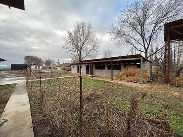 Продажа сельхоз предприятий: Продаётся сельхозобъект/участок под фермерское хозяйство — 1