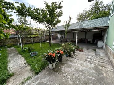 Günlük kirayə mənzillər: 5 otaqlı — 8