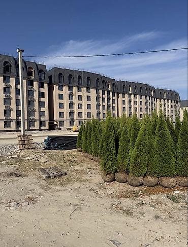 квариры: 1 комната, 36 м², Ошский рынок / базар Индивидуалка, 5 этаж, ПСО (под самоотделку) — 1