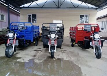 двухместный мопед: Мотороллер муравей Бензин, 150 - 199 км, 1000 - 1499 кг, Новый, В рассрочку