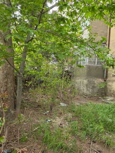 Баку, Поселок Ясамал, 2 комнаты, Вторичка, м. Эльмляр Академиясы, 50 м²