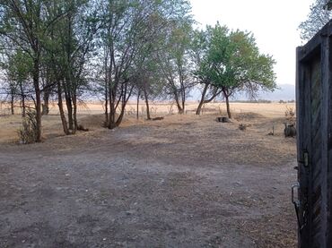 Продажа домов: Времянка, 53 м², 3 комнаты, Собственник — 21