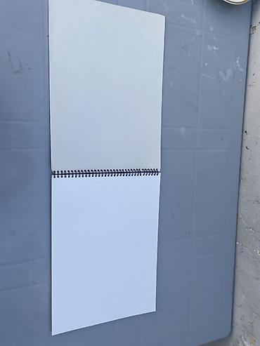 ləvazimat: Rəsm albomu və dəftərxana kitabları dəsti - Brend: Palazzo - Model — 2