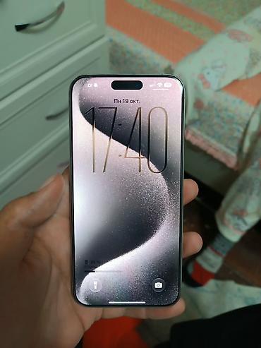 13 plus: IPhone 15 Pro Max, Б/у, 256 ГБ, Серебристый, Защитное стекло, Чехол, 79 % — 1