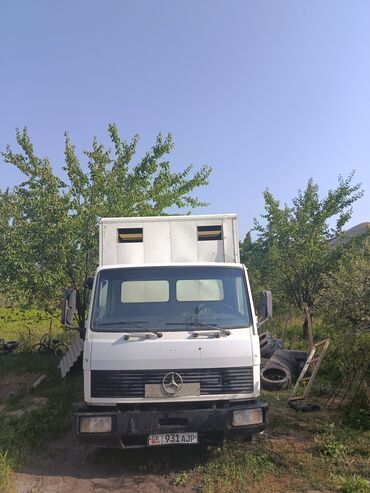 Mercedes-Benz: Mercedes-Benz : 1991 г., 6 л, Механика, Дизель, Фургон — 2