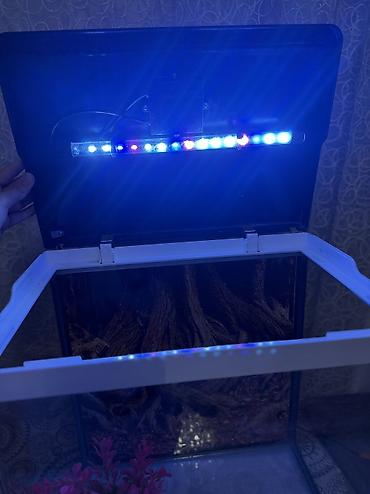 suni bitki: Delsa Aquarium K390 akvarium - Model: K390 (üst qapaqda etiket) - — 4