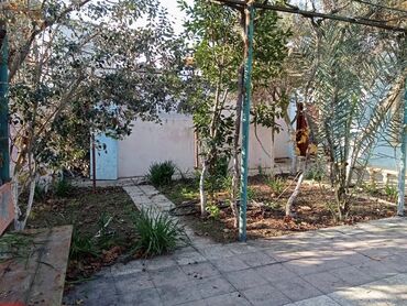 Bağ evlərinin satışı: Bakı, Türkan qəs., 100 kv. m, 4 otaqlı, Hovuzsuz, İşıq — 2