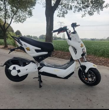 скутер цена новый: Новый