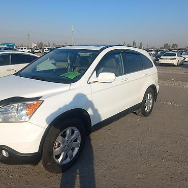 знак аварийной остановки: Honda CR-V: 2008 г., 2.4 л, Автомат, Бензин, Кроссовер — 3