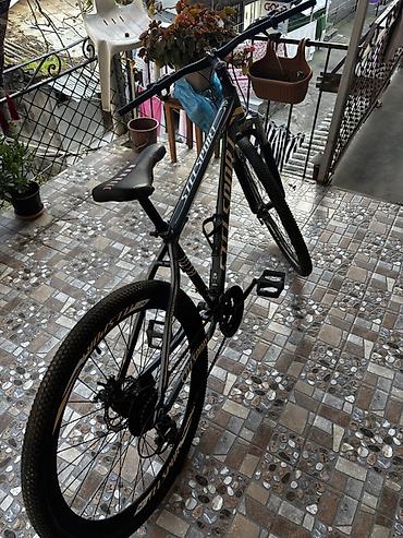 Velosipedlər: Stels sport velosiped 29 . İşıqlar da verilir. Dağ yol suret — 3