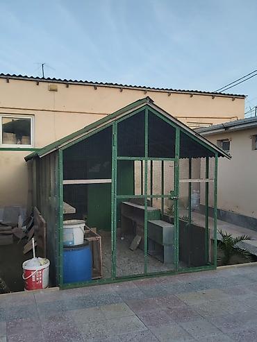 qusxana: Geniş quşxana satılır.Əlaqə üçün 0509995556 — 3