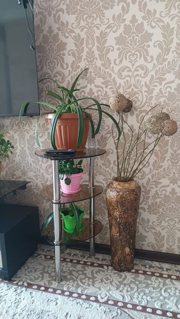 Полки для обуви: Элегантная угловая полка из светлого дерева с тремя вместительными — 4