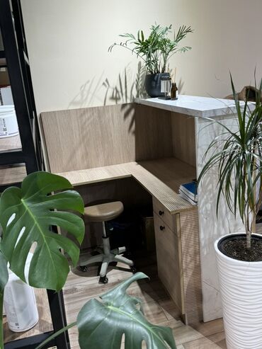 документ сканеры для проекторов elmo: Ресепшн-стойка с рабочим местом - Компактная стойка администратора с