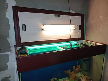 akvarium daş: Dördbucaq akvarium, Boş, 297 l, Ünvandan götürmə — 5