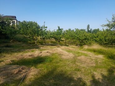недвижимость в баку из рук в руки: Meyvə bağı olan torpaq sahəsi - Yaşıllıqla əhatələnmiş, sakit ərazidə