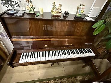 Пианино: Tokkata dik pianino - Tip: Akustik dik pianino (upright) - — 3