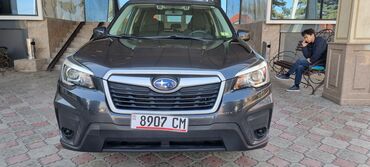 редуктор алтеза: Subaru Forester: 2019 г., 2.5 л, Автомат, Бензин, Кроссовер
