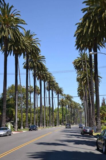 Köhnə tikili: Bakı, 1 otaqlı, Köhnə tikili, 33 kv. m — 12