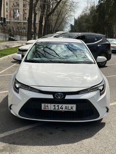 у красивая: Toyota Corolla: 2021 г., 1.8 л, Вариатор, Гибрид, Седан