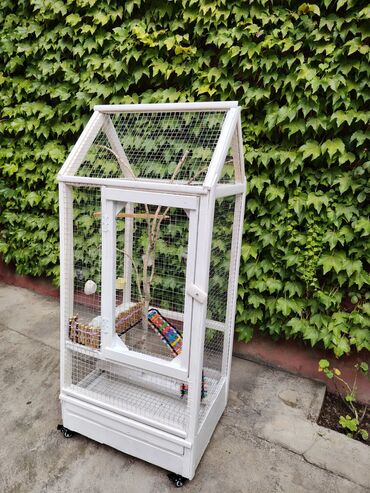 Qəfəslər: Əl işi taxda qəfəs qiyməti 160 azn real alıcılara endirim etmək olar — 4