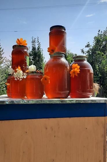 Qida məhsulları: Təbii arı balı – müxtəlif qablaşdırmalarda Məhsul təsviri: - Yeni — 1
