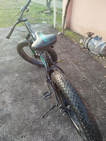 velosıped: Velosiped tecılı satılır ona görə qiyməti aşağı qoyulub' fat bikedir' — 3