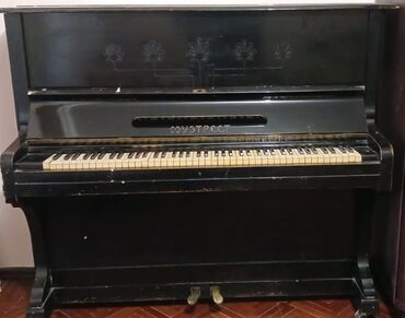 scholze piano: Piano, Akustik, İşlənmiş, Rayonlara çatdırılma