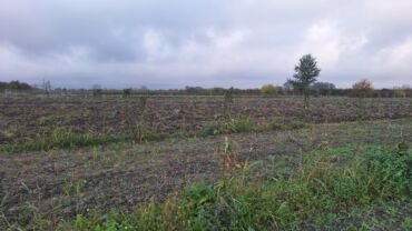 продается 2 х комнатная квартира: 120 sot, Kənd təsərrüfatı