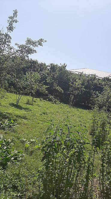 digah ev: 3 otaqlı, 2000 kv. m, Kredit yoxdur, Təmirsiz — 5