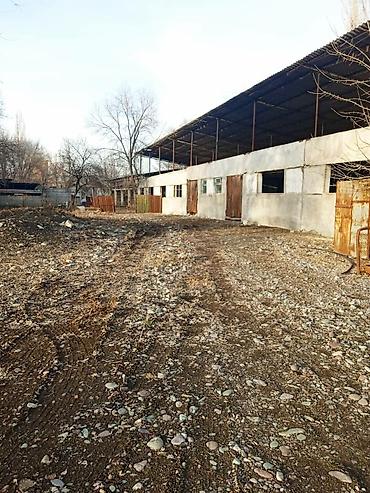 Продажа сельхоз предприятий: Продается производственная база с фермой свинарником at lalafo.kg — 2 Продажа сельхоз предприятий: Продается производственная база с фермой свинарником — 2