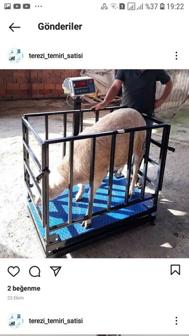 Digər biznes avadanlığı: Terezi temiri satış var — 6